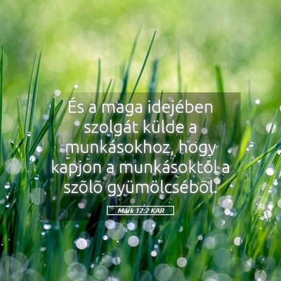 Picture 05 - Márk 12:2 KAR - És a maga idejében szolgát külde a - Bible Verse Picture