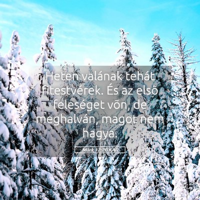 Picture 05 - Márk 12:20 KAR - Heten valának tehát fitestvérek. És az elsõ - Bible Verse Picture