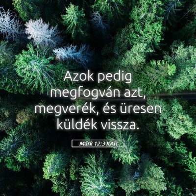 Picture 05 - Márk 12:3 KAR - Azok pedig megfogván azt, megverék, és üresen - Bible Verse Picture