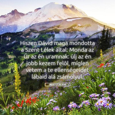 Picture 05 - Márk 12:36 KAR - Hiszen Dávid maga mondotta a Szent Lélek - Bible Verse Picture