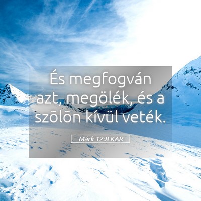 Picture 05 - Márk 12:8 KAR - És megfogván azt, megölék, és a szõlõn - Bible Verse Picture