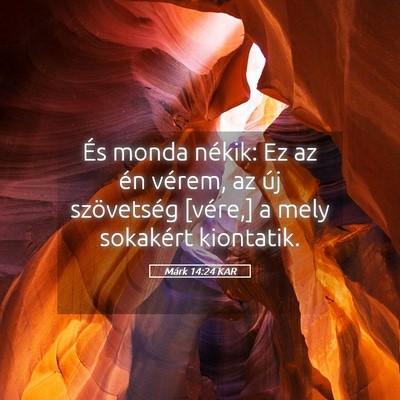 Picture 05 - Márk 14:24 KAR - És monda nékik: Ez az én vérem, az új - Bible Verse Picture