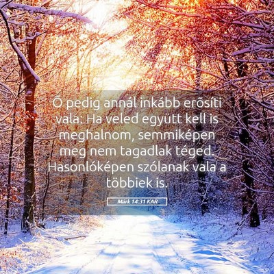 Picture 05 - Márk 14:31 KAR - Õ pedig annál inkább erõsíti vala: Ha veled - Bible Verse Picture