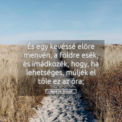 Picture 05 - Márk 14:35 KAR - És egy kevéssé elõre menvén, a földre - Bible Verse Picture