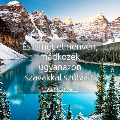 Picture 05 - Márk 14:39 KAR - És ismét elmenvén, imádkozék, ugyanazon - Bible Verse Picture