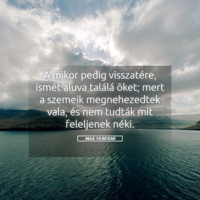 Picture 05 - Márk 14:40 KAR - A mikor pedig visszatére, ismét aluva találá - Bible Verse Picture