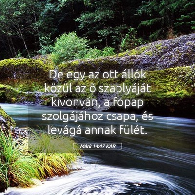Picture 05 - Márk 14:47 KAR - De egy az ott állók közül az õ szablyáját - Bible Verse Picture