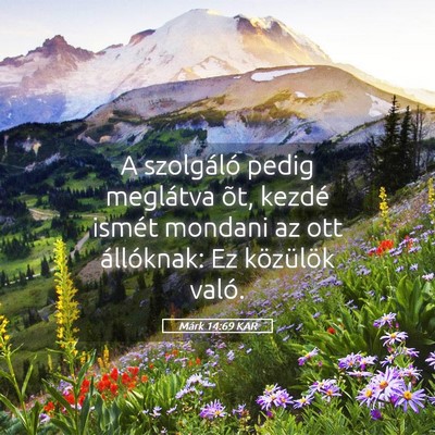 Picture 05 - Márk 14:69 KAR - A szolgáló pedig meglátva õt, kezdé ismét - Bible Verse Picture