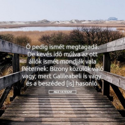 Picture 05 - Márk 14:70 KAR - Õ pedig ismét megtagadá. De kevés idõ múlva - Bible Verse Picture