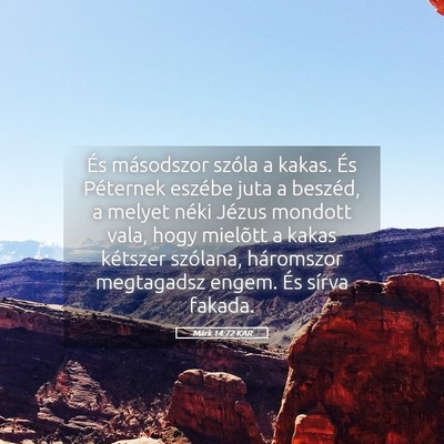 Picture 05 - Márk 14:72 KAR - És másodszor szóla a kakas. És Péternek - Bible Verse Picture