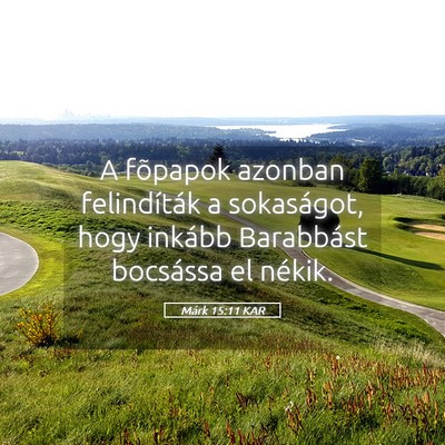 Picture 05 - Márk 15:11 KAR - A fõpapok azonban felindíták a sokaságot, - Bible Verse Picture