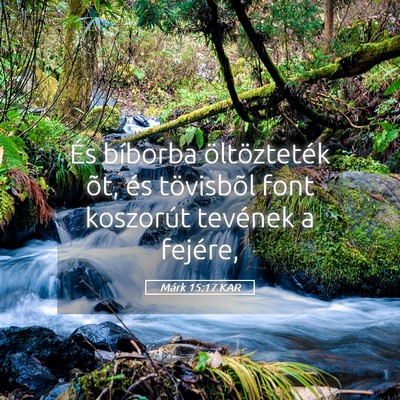 Picture 05 - Márk 15:17 KAR - És bíborba öltözteték õt, és tövisbõl - Bible Verse Picture
