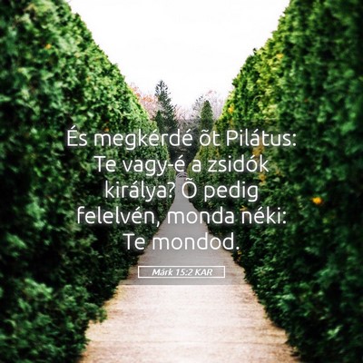 Picture 05 - Márk 15:2 KAR - És megkérdé õt Pilátus: Te vagy-é a zsidók - Bible Verse Picture