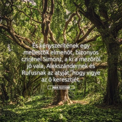 Picture 05 - Márk 15:21 KAR - És kényszerítének egy mellettök elmenõt, - Bible Verse Picture