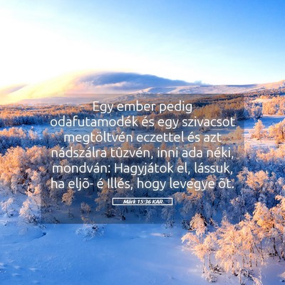 Picture 05 - Márk 15:36 KAR - Egy ember pedig odafutamodék és egy szivacsot - Bible Verse Picture