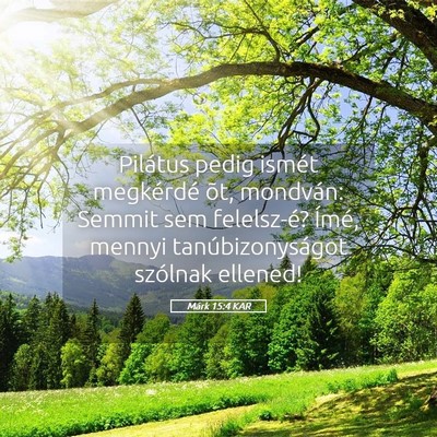 Picture 05 - Márk 15:4 KAR - Pilátus pedig ismét megkérdé õt, mondván: - Bible Verse Picture