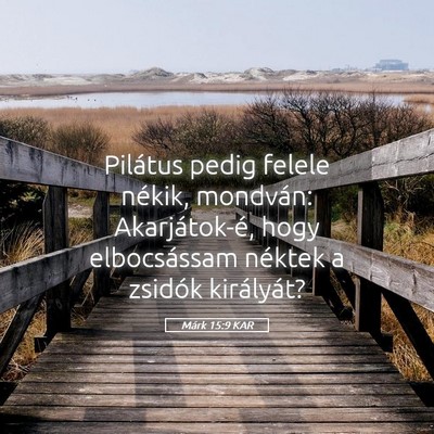 Picture 05 - Márk 15:9 KAR - Pilátus pedig felele nékik, mondván: - Bible Verse Picture