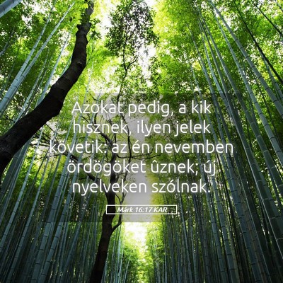 Picture 05 - Márk 16:17 KAR - Azokat pedig, a kik hisznek, ilyen jelek - Bible Verse Picture
