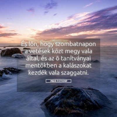 Picture 05 - Márk 2:23 KAR - És lõn, hogy szombatnapon a vetések közt megy - Bible Verse Picture