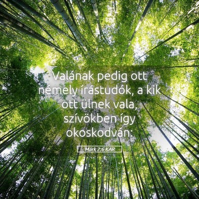 Picture 05 - Márk 2:6 KAR - Valának pedig ott némely írástudók, a kik - Bible Verse Picture