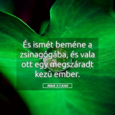 Picture 05 - Márk 3:1 KAR - És ismét beméne a zsinagógába, és vala ott - Bible Verse Picture