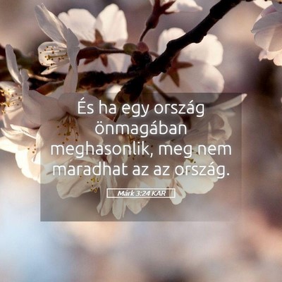 Picture 05 - Márk 3:24 KAR - És ha egy ország önmagában meghasonlik, meg - Bible Verse Picture