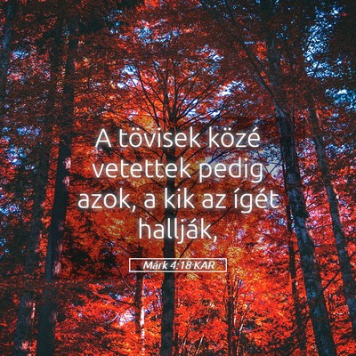Picture 05 - Márk 4:18 KAR - A tövisek közé vetettek pedig azok, a kik az - Bible Verse Picture