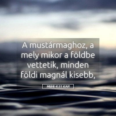 Picture 05 - Márk 4:31 KAR - A mustármaghoz, a mely mikor a földbe vettetik, - Bible Verse Picture