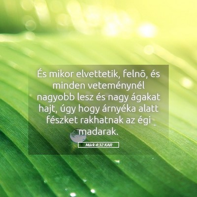 Picture 05 - Márk 4:32 KAR - És mikor elvettetik, felnõ, és minden - Bible Verse Picture