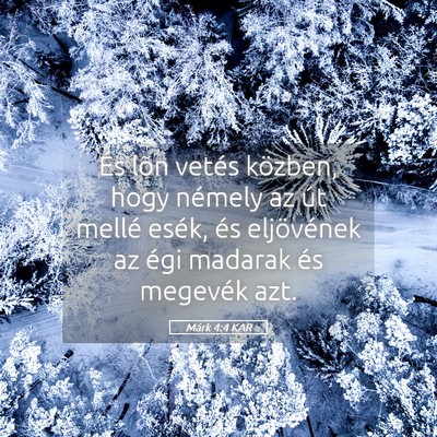 Picture 05 - Márk 4:4 KAR - És lõn vetés közben, hogy némely az út - Bible Verse Picture