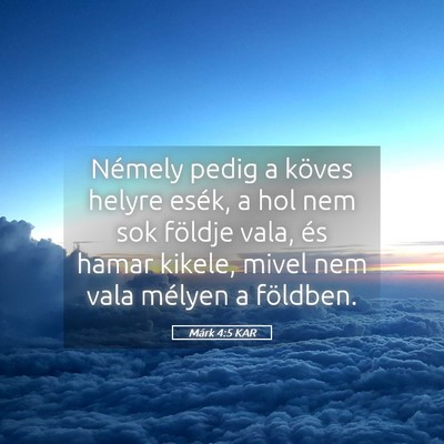 Picture 05 - Márk 4:5 KAR - Némely pedig a köves helyre esék, a hol nem - Bible Verse Picture