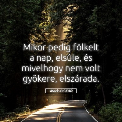 Picture 05 - Márk 4:6 KAR - Mikor pedig fölkelt a nap, elsûle, és - Bible Verse Picture