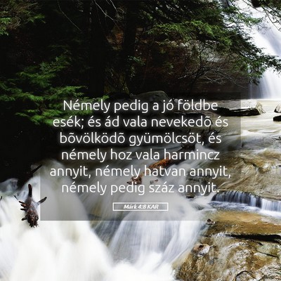 Picture 05 - Márk 4:8 KAR - Némely pedig a jó földbe esék; és ád vala - Bible Verse Picture