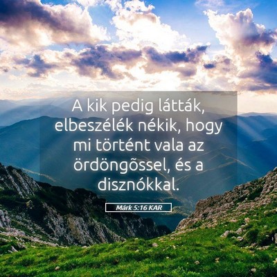 Picture 05 - Márk 5:16 KAR - A kik pedig látták, elbeszélék nékik, hogy - Bible Verse Picture