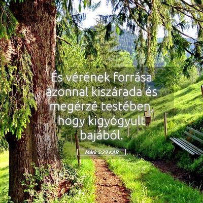 Picture 05 - Márk 5:29 KAR - És vérének forrása azonnal kiszárada és - Bible Verse Picture