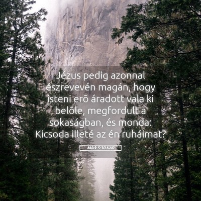 Picture 05 - Márk 5:30 KAR - Jézus pedig azonnal észrevevén magán, hogy - Bible Verse Picture