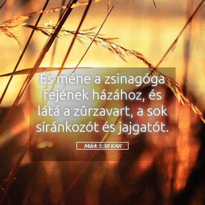 Picture 05 - Márk 5:38 KAR - És méne a zsinagóga fejének házához, és - Bible Verse Picture