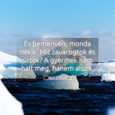 Picture 05 - Márk 5:39 KAR - És bemenvén, monda nékik: Mit zavarogtok és - Bible Verse Picture