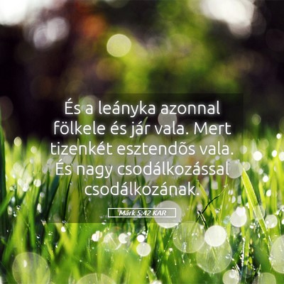 Picture 05 - Márk 5:42 KAR - És a leányka azonnal fölkele és jár vala. - Bible Verse Picture
