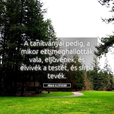Picture 05 - Márk 6:29 KAR - A tanítványai pedig, a mikor ezt meghallották - Bible Verse Picture