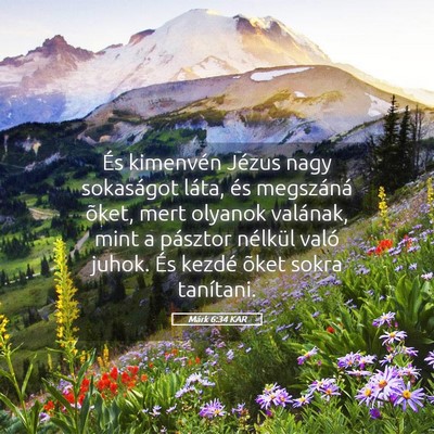 Picture 05 - Márk 6:34 KAR - És kimenvén Jézus nagy sokaságot láta, és - Bible Verse Picture