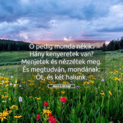 Picture 05 - Márk 6:38 KAR - Õ pedig monda nékik: Hány kenyeretek van? - Bible Verse Picture