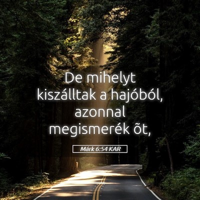 Picture 05 - Márk 6:54 KAR - De mihelyt kiszálltak a hajóból, azonnal - Bible Verse Picture