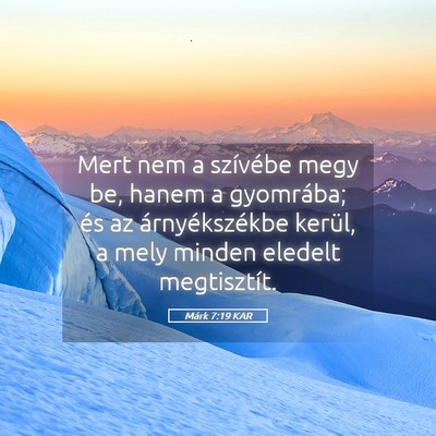 Picture 05 - Márk 7:19 KAR - Mert nem a szívébe megy be, hanem a gyomrába; - Bible Verse Picture