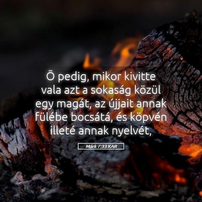Picture 05 - Márk 7:33 KAR - Õ pedig, mikor kivitte vala azt a sokaság - Bible Verse Picture