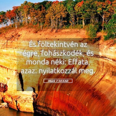 Picture 05 - Márk 7:34 KAR - És föltekintvén az égre, fohászkodék, és - Bible Verse Picture