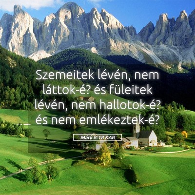 Picture 05 - Márk 8:18 KAR - Szemeitek lévén, nem láttok-é? és füleitek - Bible Verse Picture