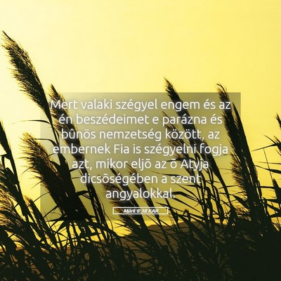 Picture 05 - Márk 8:38 KAR - Mert valaki szégyel engem és az én - Bible Verse Picture
