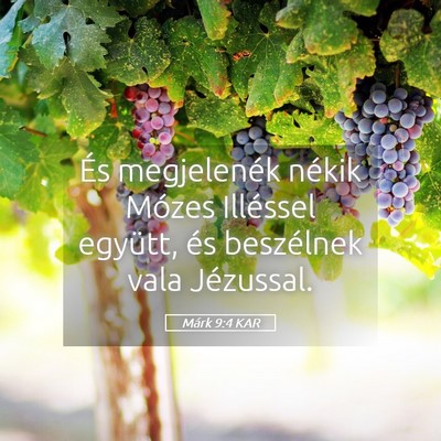 Picture 05 - Márk 9:4 KAR - És megjelenék nékik Mózes Illéssel együtt, - Bible Verse Picture
