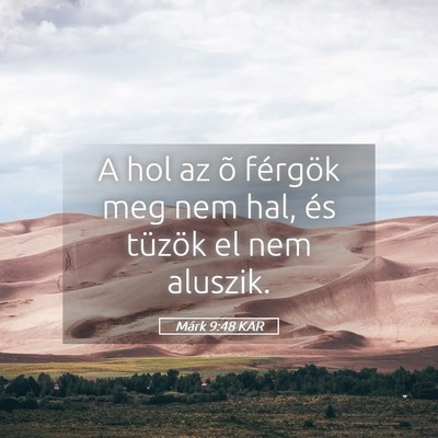 Picture 05 - Márk 9:48 KAR - A hol az õ férgök meg nem hal, és tüzök el - Bible Verse Picture
